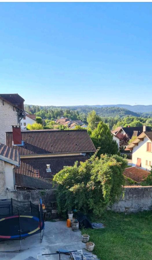 Le Nid Pres Du Lac Clairvaux-les-Lacs Exteriör bild